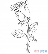 如何画一支玫瑰花简单漂亮_玫瑰花简笔画图片