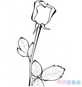 最简单玫瑰花的画法步骤_玫瑰花简笔画图片