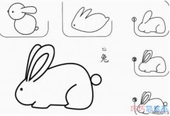 小白兔的画法简单可爱_小白兔简笔画图片