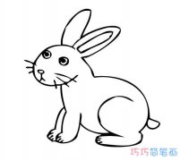 可爱萌萌的兔子要怎么画_兔子简笔画图片