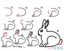 卡通小白兔的画法步骤图_小白兔简笔画图片