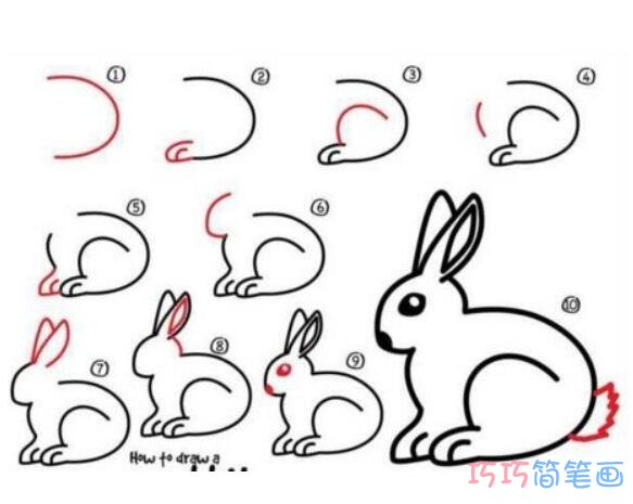 小白兔的画法_小白兔简笔画图片