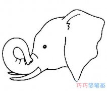 长鼻子大象头像怎么画_大象头部简笔画图片