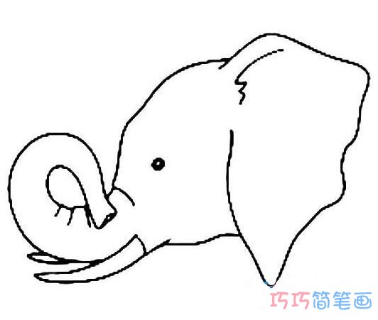 长象牙大象头部的画法_大象头部简笔画图片