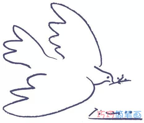 啄食飞翔的和平鸽要怎么画_和平鸽简笔画
