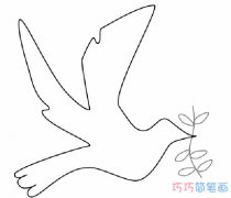 最简单和平鸽叼橄榄枝怎么画_和平鸽简笔画图片