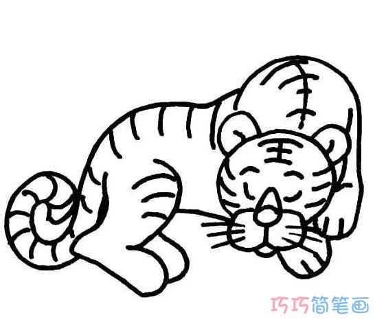 睡觉的老虎怎么画_老虎简笔画图片