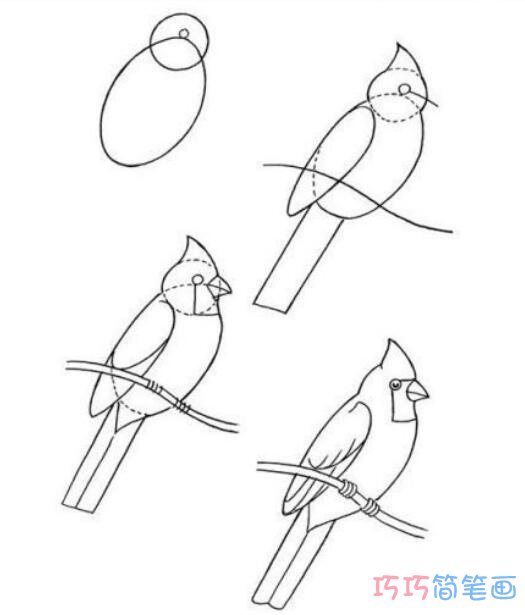 站在枝头啄木鸟要怎么画简单_啄木鸟简笔画