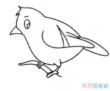 卡通树枝上的小鸟怎么画_简单小鸟简笔画
