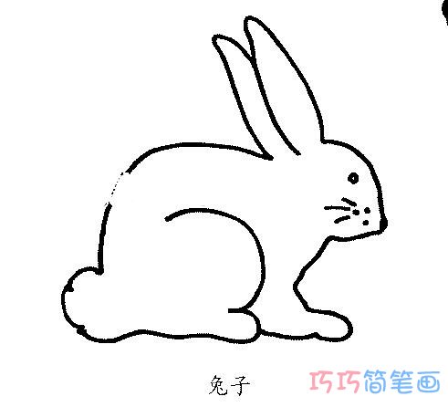 卡通标正的小白兔怎么画好看_兔子简笔画图片