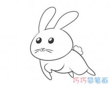 可爱的小白兔画法步骤简单_兔子简笔画图片