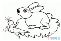 小白兔吃萝卜怎么画_幼儿简笔画兔子图片