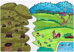 环保家园主题儿童画_保护绿色家园图片