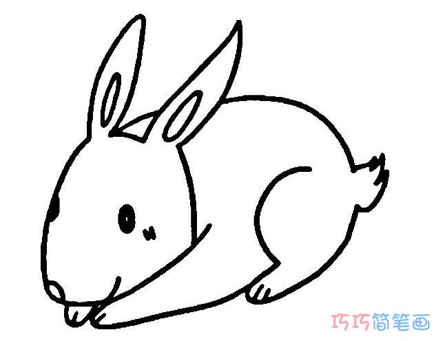 一学就会超简单卡通小白兔怎么画_小白兔简笔画图片
