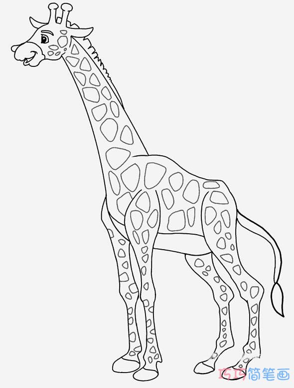 带颜色长颈鹿好看_长颈鹿的简笔画图片