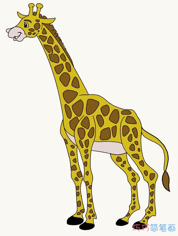 带颜色长颈鹿好看_长颈鹿的简笔画图片