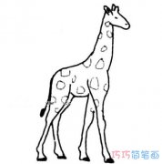 超简单儿童长颈鹿怎么画_长颈鹿简笔画图片