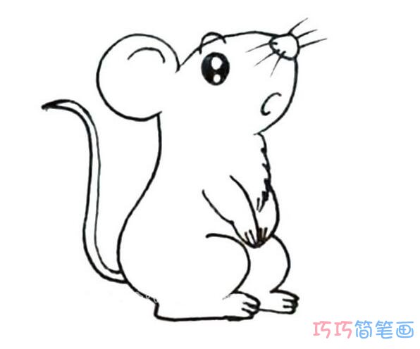 可爱抬头老鼠怎么画_老鼠简笔画图片