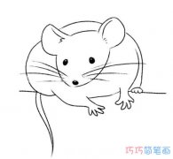 超可爱的小老鼠怎么画简单_老鼠简笔画图片