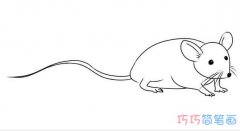 儿童两只可爱的小老鼠怎么画_老鼠简笔画图片