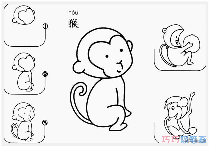 乖巧猴子简单画法分步骤_小猴子简笔画图片
