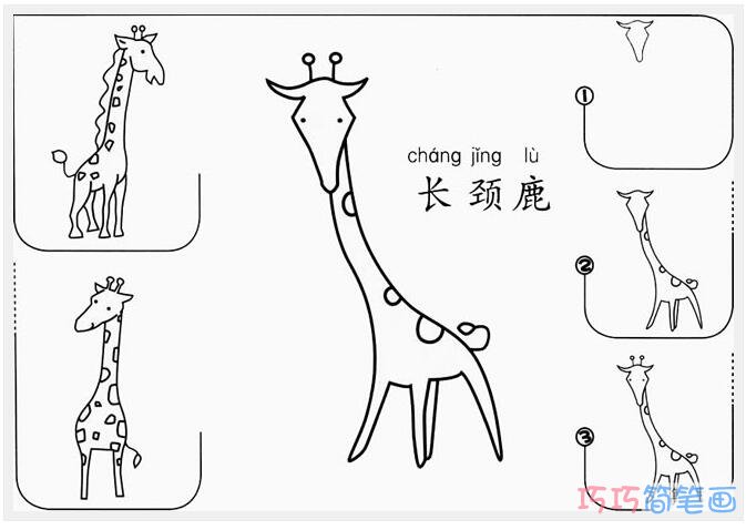 线条长颈鹿画法步骤图_长颈鹿简笔画图片