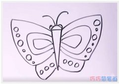 幼儿可爱的蝴蝶怎么画带步骤_蝴蝶简笔画图片