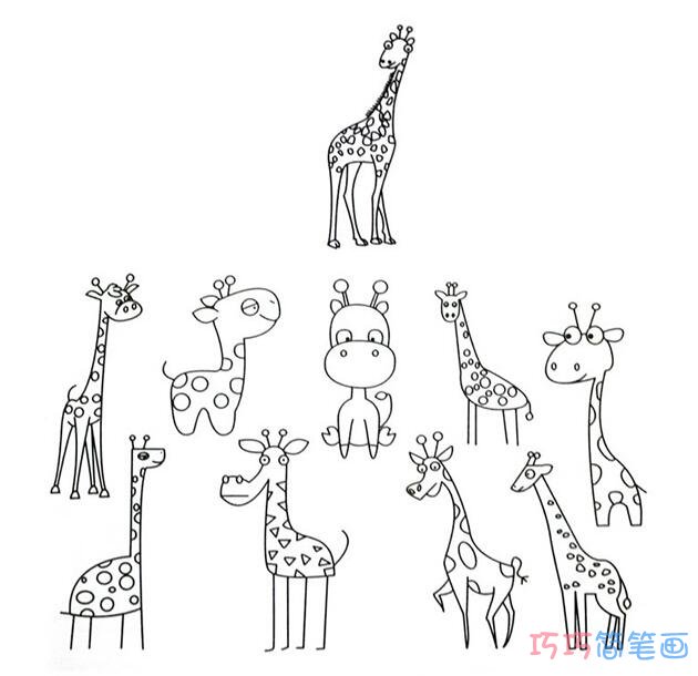 简单线条长颈鹿画法大全_长颈鹿的简笔画图片