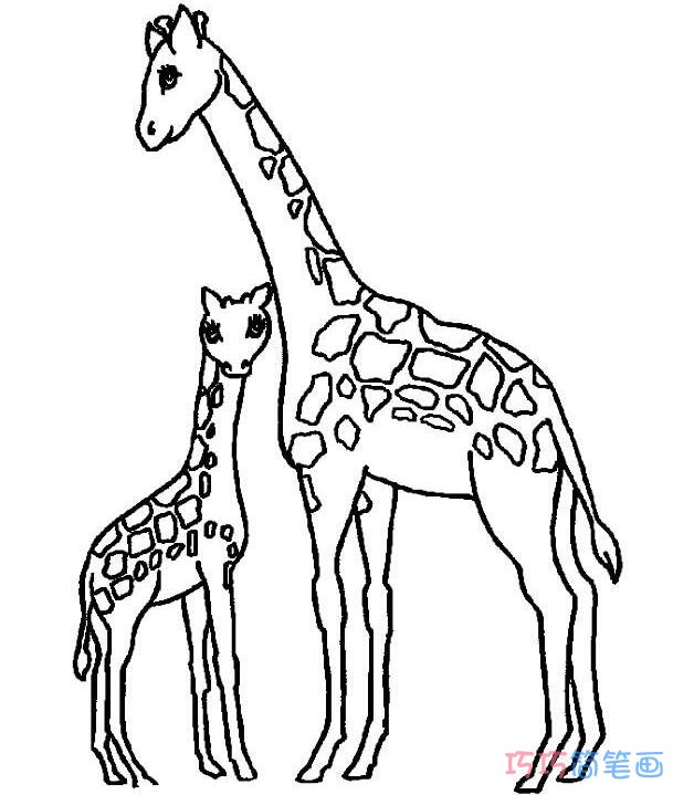 如何画长颈鹿和妈妈温馨_长颈鹿简笔画图片