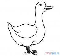 儿童家鸭子怎么画简单_鸭子简笔画图片