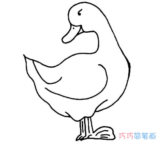 回头鸭子怎么画简单_鸭子简笔画图片