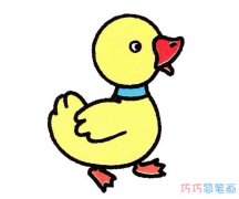 彩色可爱小鸭子怎么画步骤图_小鸭子简笔画图片