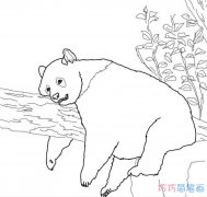 大熊猫睡觉怎么画简单_大熊猫简笔画图片