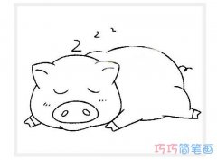 爱睡觉小猪的画法简单可爱_小猪简笔画图片