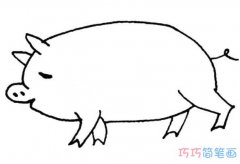 幼儿简单小猪的画法步骤_小猪简笔画图片