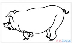 儿童家猪怎么画简单好看_小猪简笔画图片
