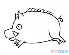 各种野猪的画法带步骤图_小猪简笔画图片