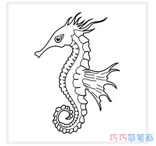 神气海马简笔画带步骤图_马简笔画图片