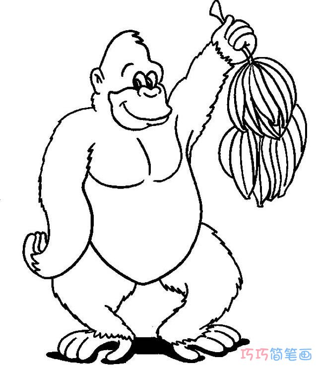 拿香蕉的可爱大猩猩_猴子简笔画图片