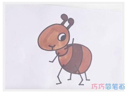 卡通棕色蚂蚁怎么画可爱_昆虫简笔画