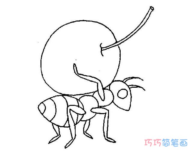 背桔子蚂蚁简笔画_昆虫简笔画