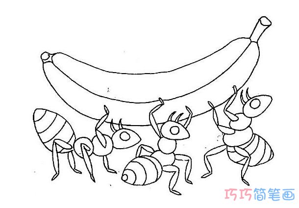 搬香蕉蚂蚁简笔画_昆虫简笔画