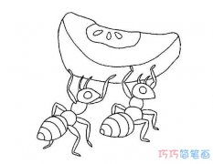 两只蚂蚁搬西瓜怎么画好看_蚂蚁简笔画图片