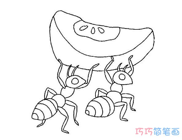 两只蚂蚁搬西瓜怎么画好看_昆虫简笔画