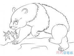 儿童大熊猫的画法素描简单_大熊猫简笔画图片