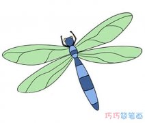 带颜色蜻蜓怎么画简单可爱_蜻蜓简笔画图片