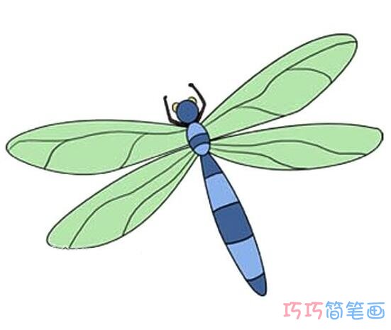 绿色蜻蜓简笔画_昆虫简笔画