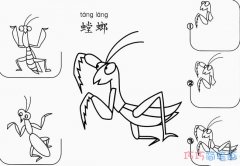 最简单螳螂画法分步骤解释_螳螂简笔画图片