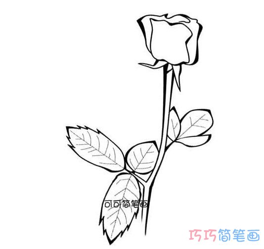 如何画漂亮带叶子的玫瑰_玫瑰花简笔画图片