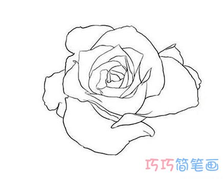 美丽的玫瑰花步骤图_玫瑰花简笔画图片